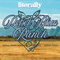 Rebel Blue Ranch | small town romance - cowboys - horse rides
